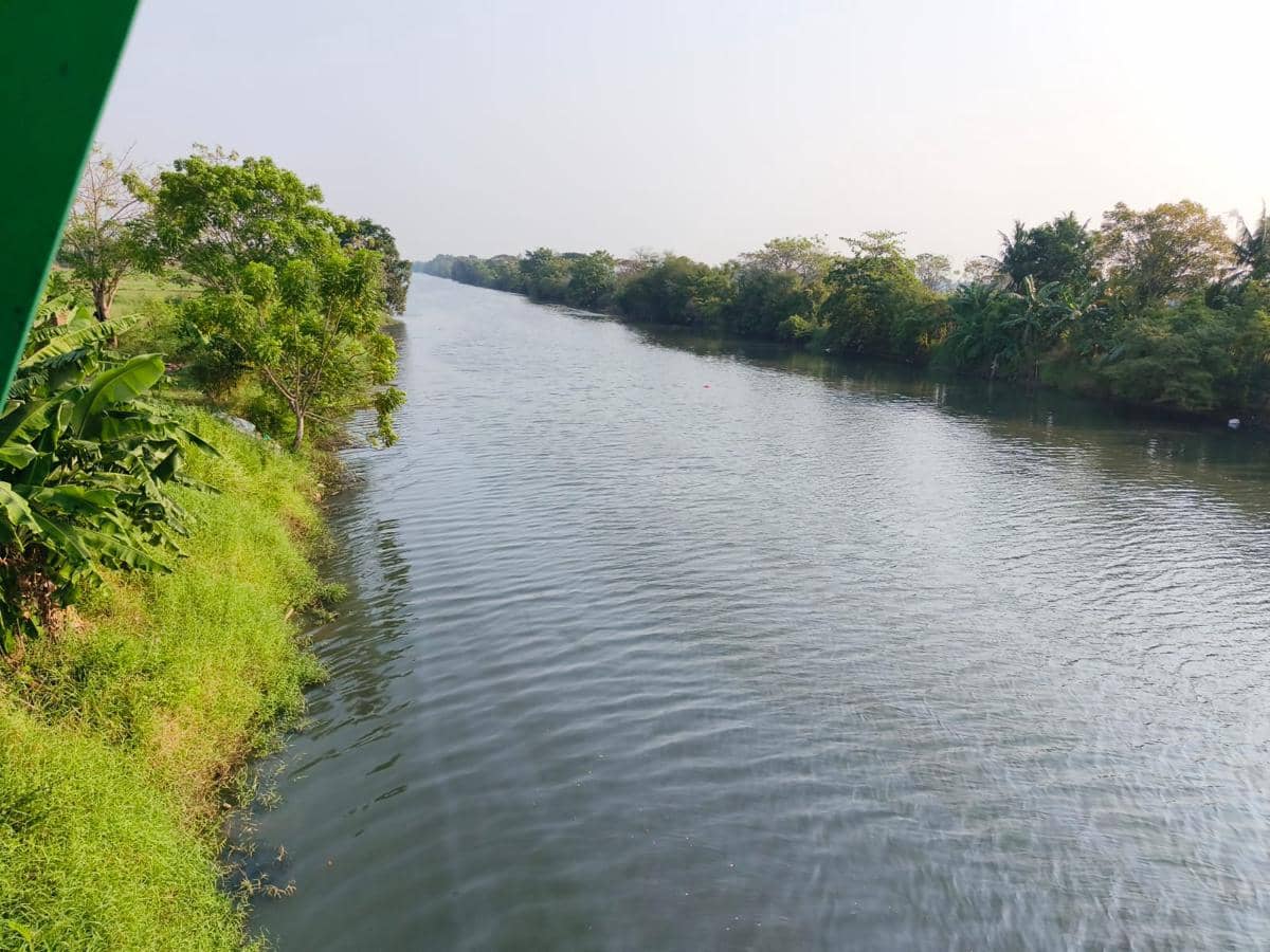 DLH Bantah Sungai Ciujung Menghitam, Tapi Akui Kualitas Air Menurun