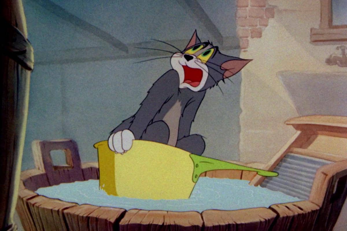 Tom melihat dari kejauhan Jerry sedang melempar batu bata menuju ke arahnya