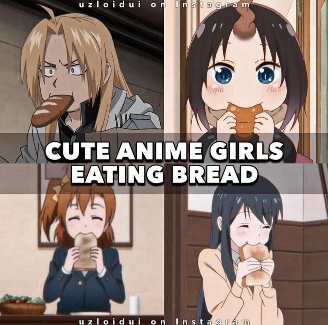 meme anime tentang roti