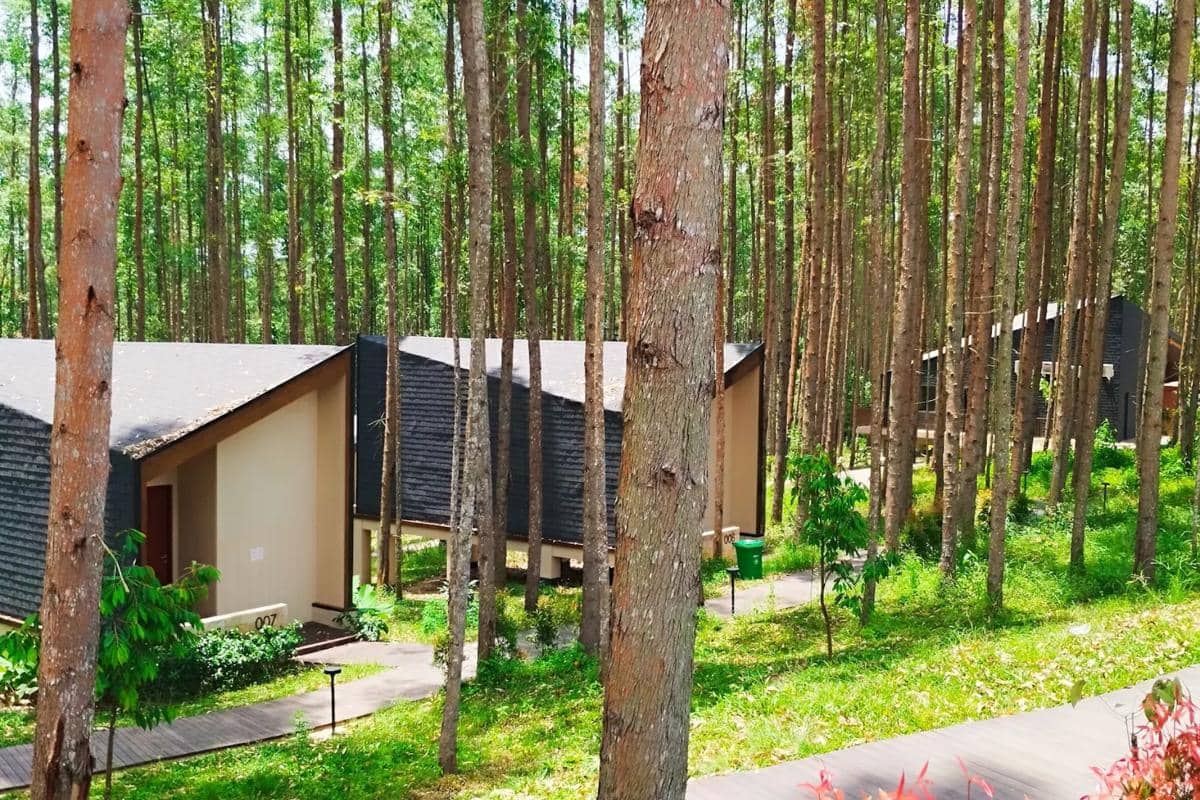Glamping IKN Sepaku, IKN, Kalimantan Timur
