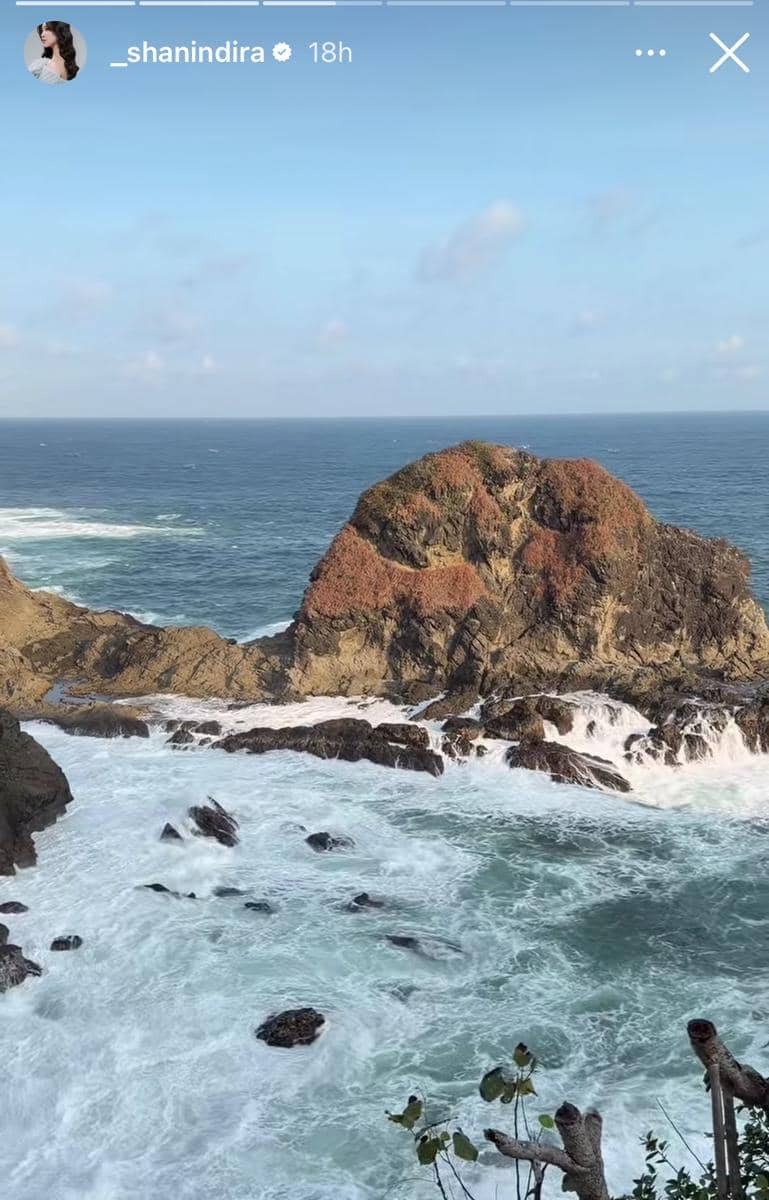 Pemandangan laut biru dengan ombak besar menghantam tebing batu besar yang ditumbuhi vegetasi di bagian atasnya.