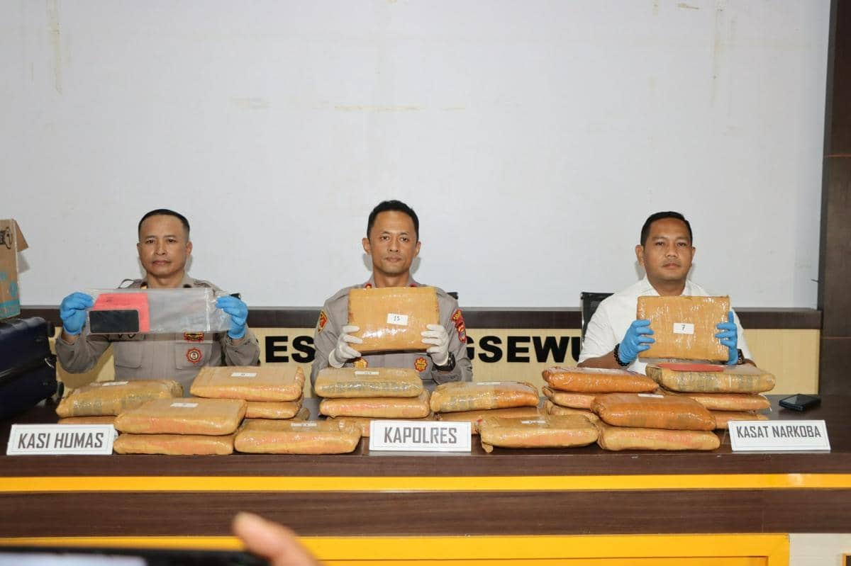 Diupah Rp3,5 Juta, Kurir Ganja 24 Kg Asal Sumut Diciduk di Pringsewu