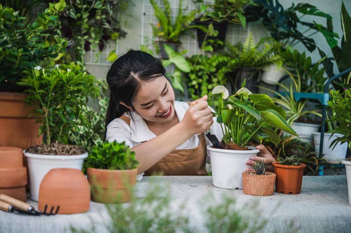 Seorang wanita tersenyum sambil merawat tanaman hias di pot putih di taman rumah yang dipenuhi berbagai tanaman hijau.