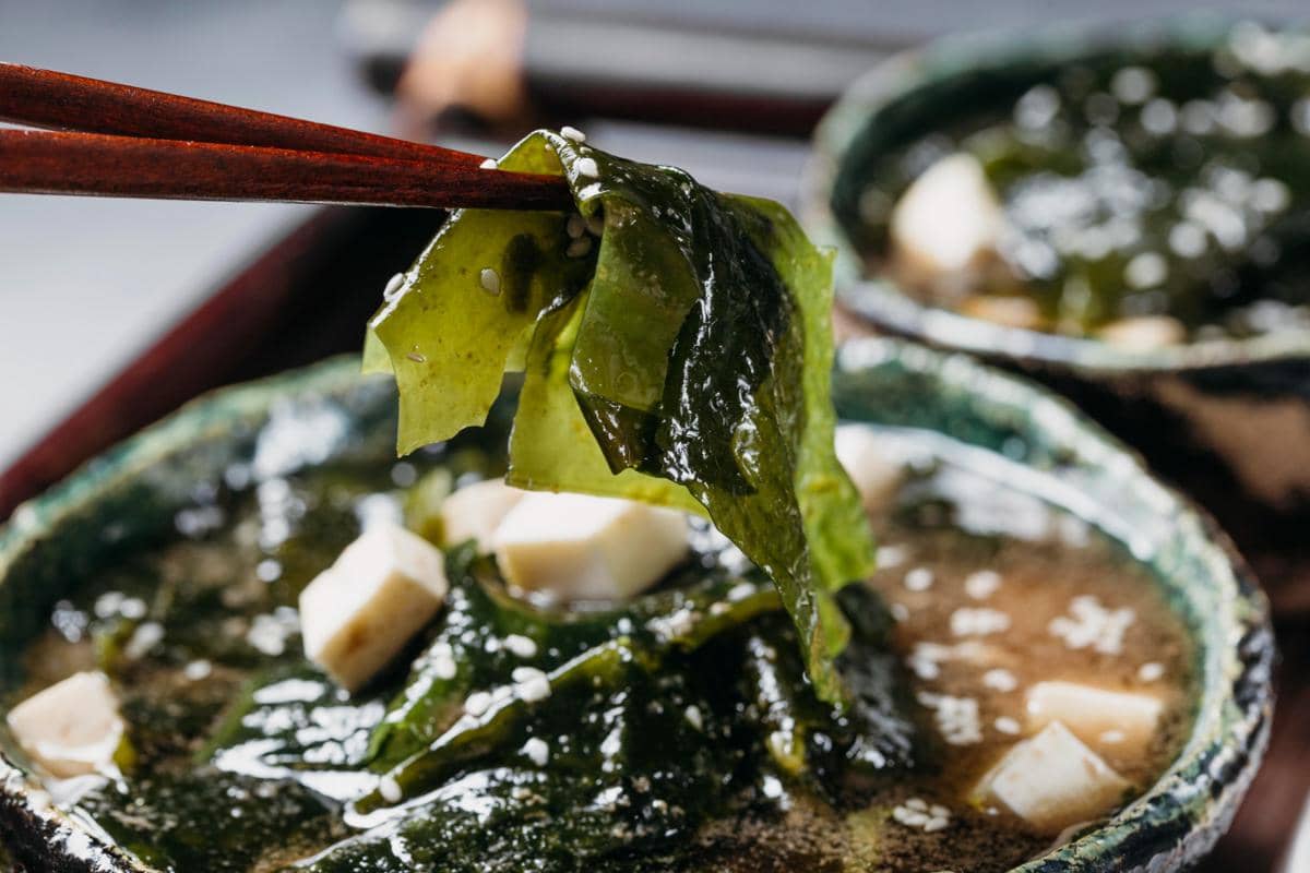 Semangkuk sup kombu dashi dengan potongan tahu dan rumput laut hijau yang diangkat menggunakan sumpit kayu.