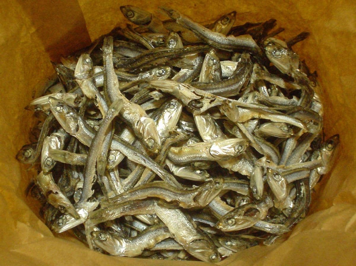 Tumpukan niboshi atau ikan teri kering berwarna keperakan dalam wadah kertas cokelat, digunakan sebagai bahan dasar kaldu Jepang.