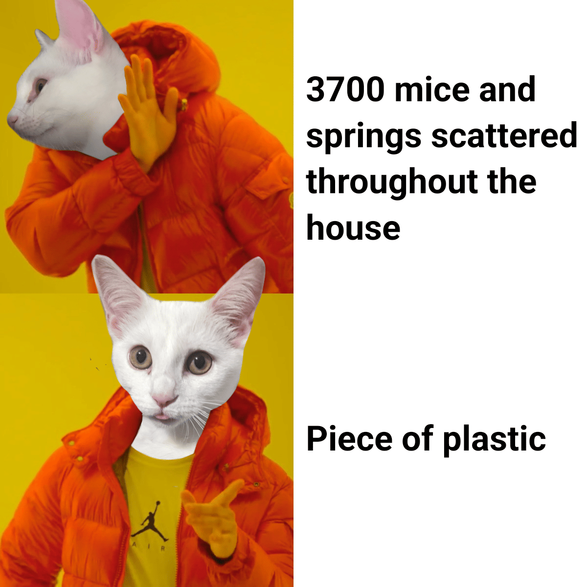 meme kucing dan plastik