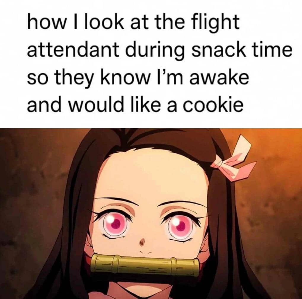 meme anime tentang naik pesawat