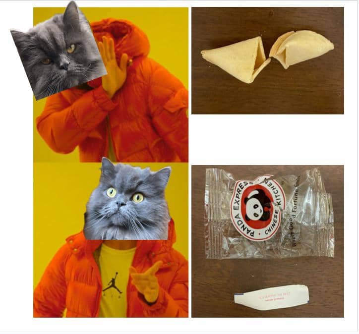 meme kucing dan plastik
