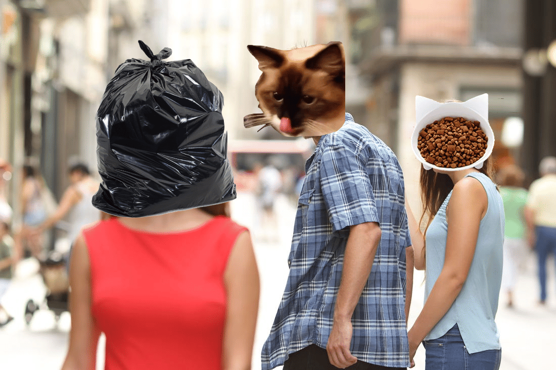 meme kucing dan plastik