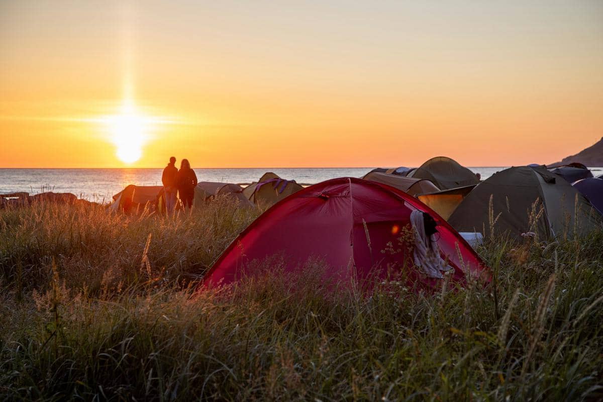 ilustrasi midnight sun 