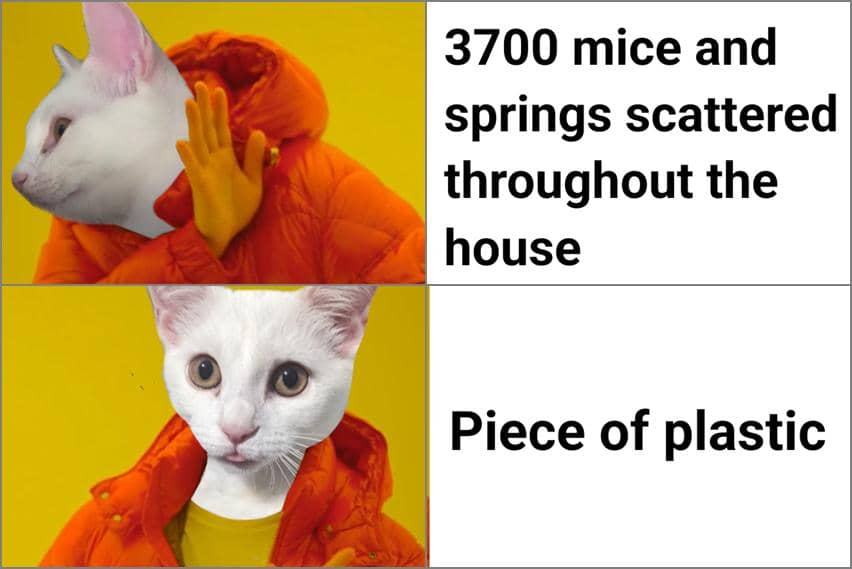 8 Meme Kucing dan Plastik, Mainan Favorit para Meng?
