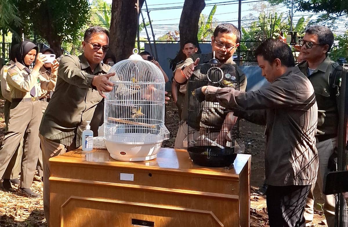 Balai Besar KSDA Sulawesi Selatan saat melepasliarkan 20 burung jenis kacamata kericau dan 3 ekor burung jenis kepudang kuduk-hitam (IDN Tim