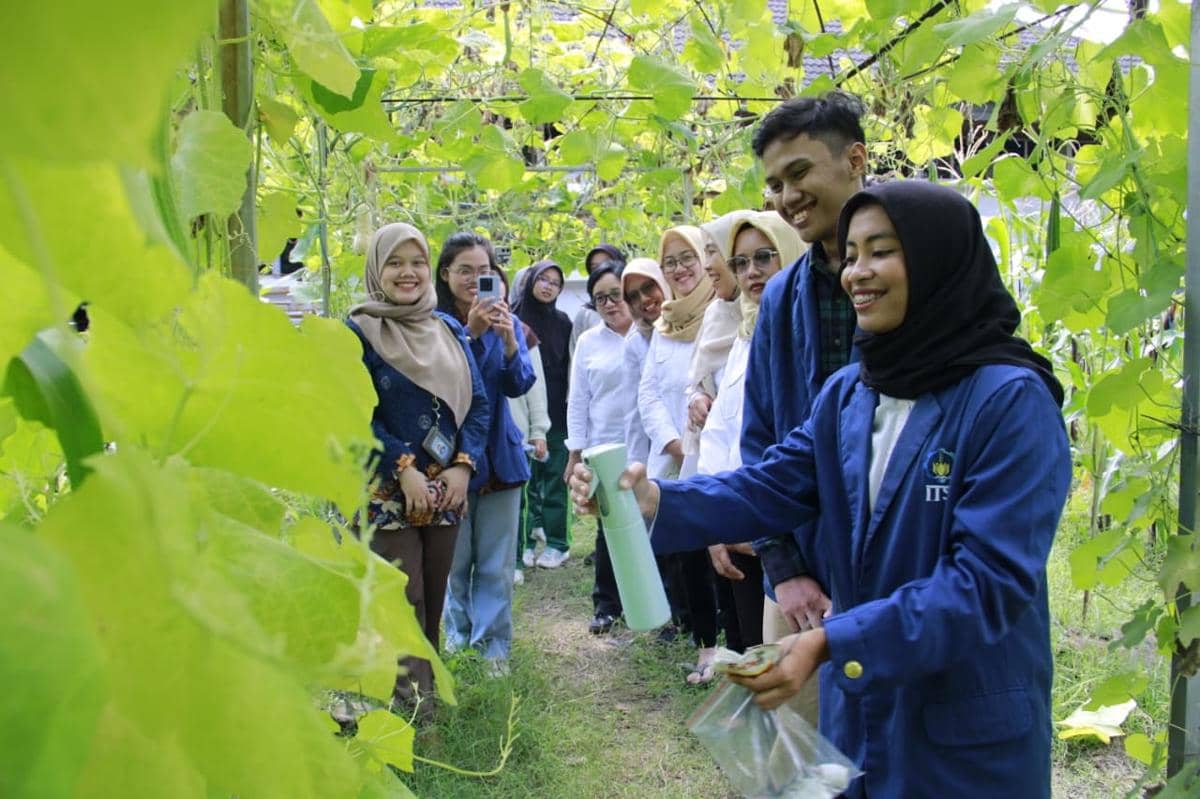 Mahasiswa ITS Ciptakan Pestisida Teknologi Nano, Tahan Hujan dan UV