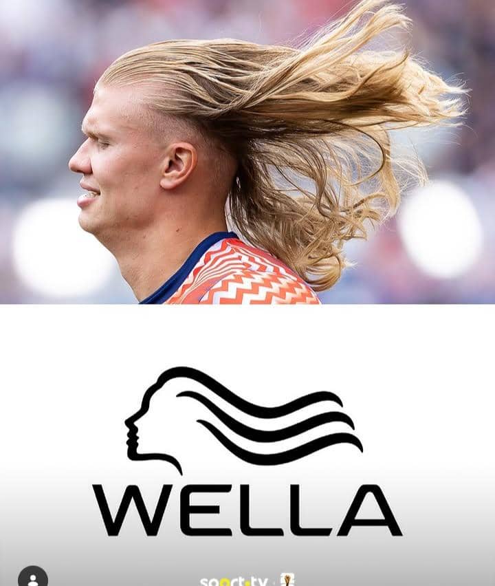 meme Haaland