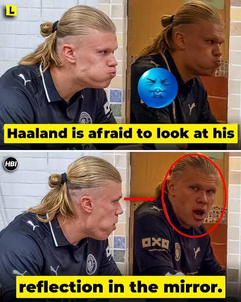 meme Haaland