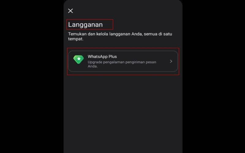 cara coba WhatsApp Plus gratis selama satu bulan