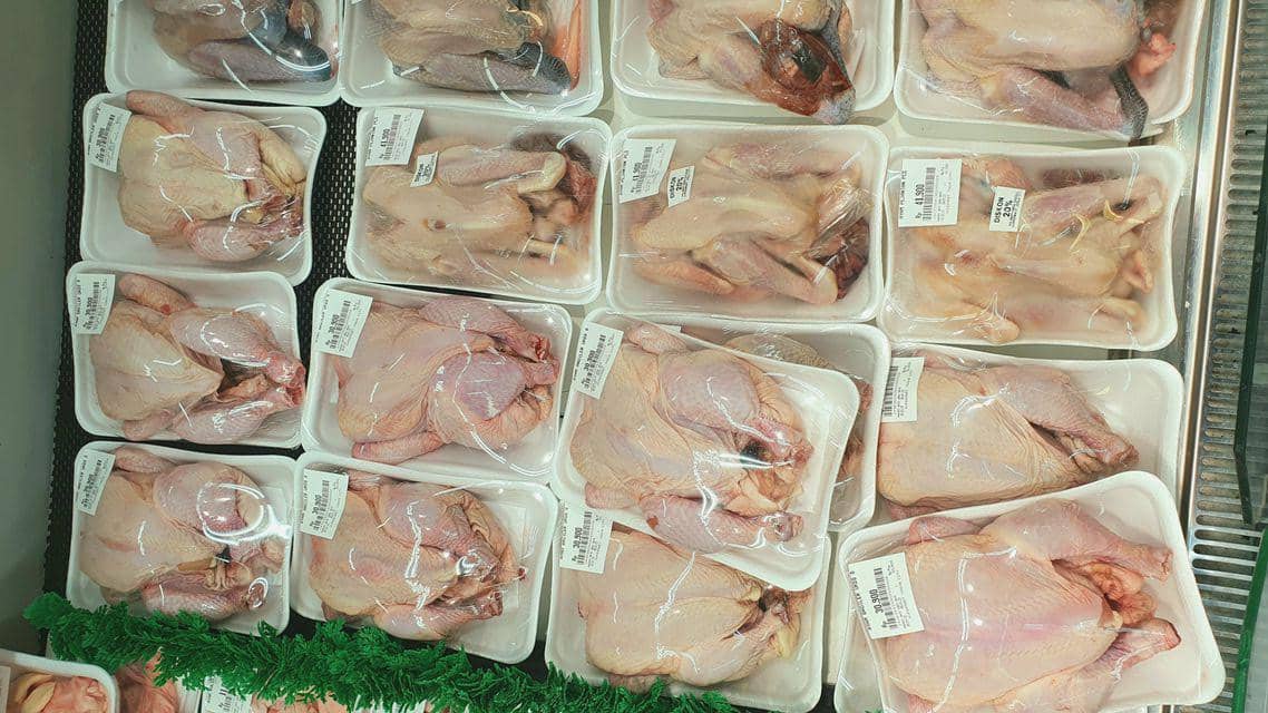 ilustrasi daging ayam 