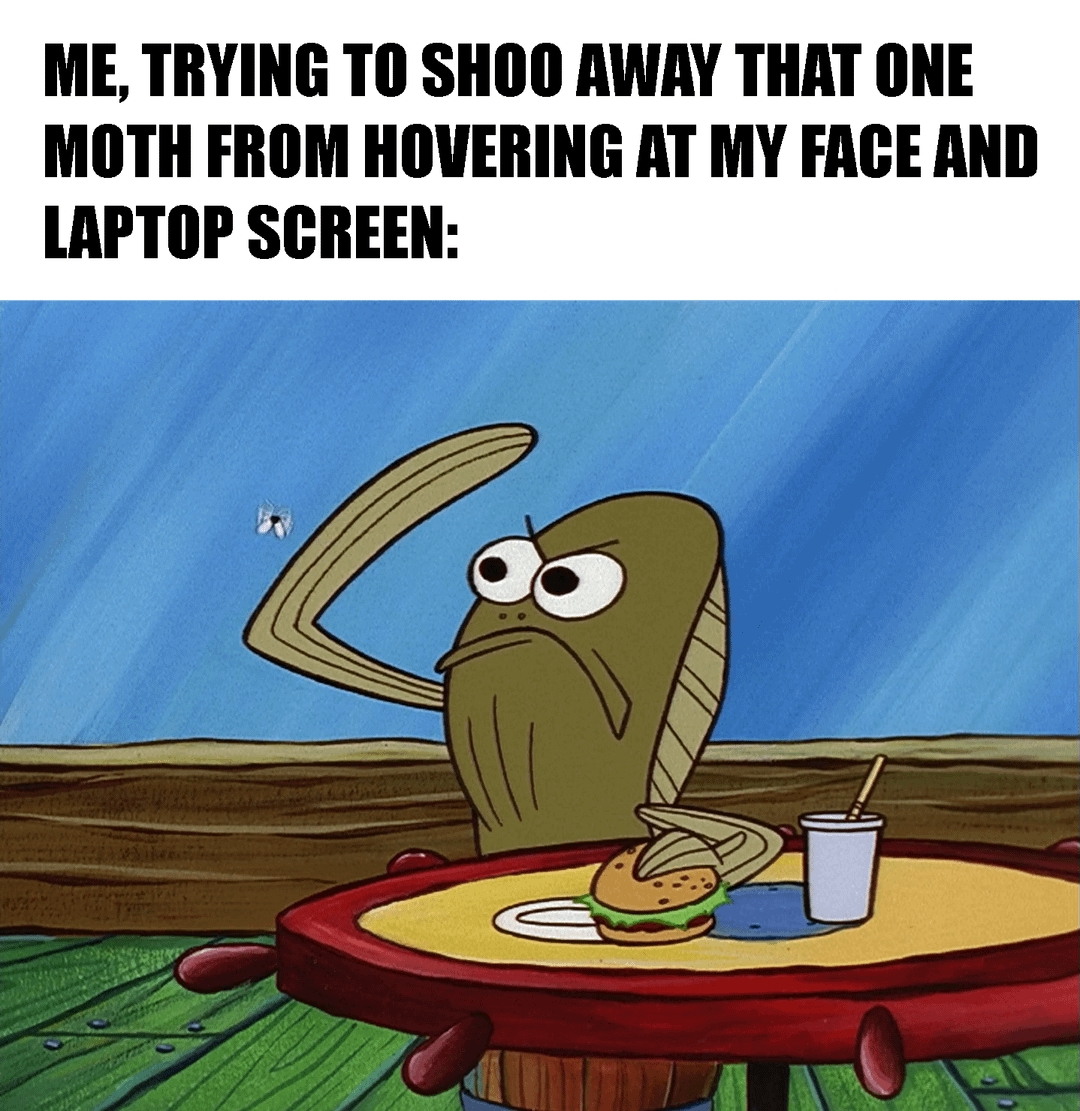 meme SpongeBob tentang laptop