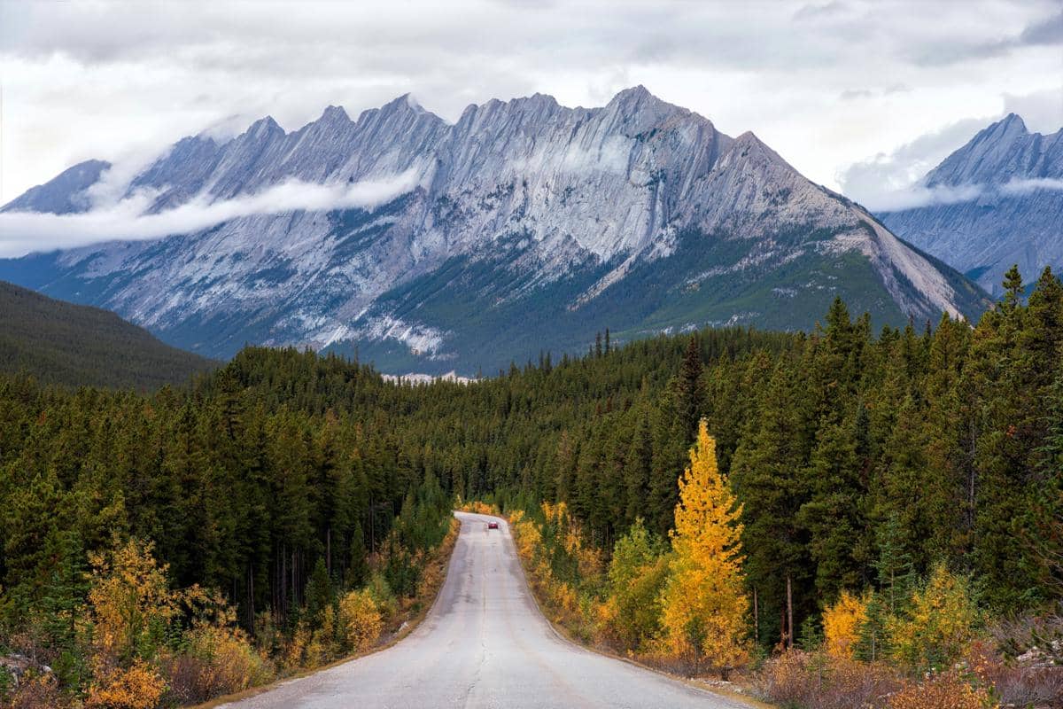 ilustrasi jalur Jasper National Park