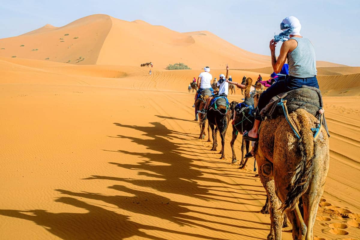 ilustrasi menunggang unta di Gurun Sahara 