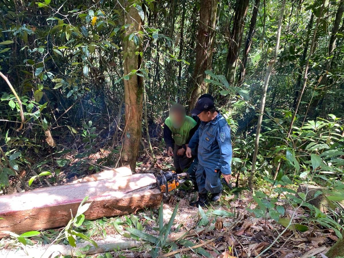Perambahan kawasan hutan lindung di Kecamatan Wasuponda, Kabupaten Luwu Timur, Sulawesi Selatan. Dok. Gakkum Kehutanan Wilayah Sulawesi