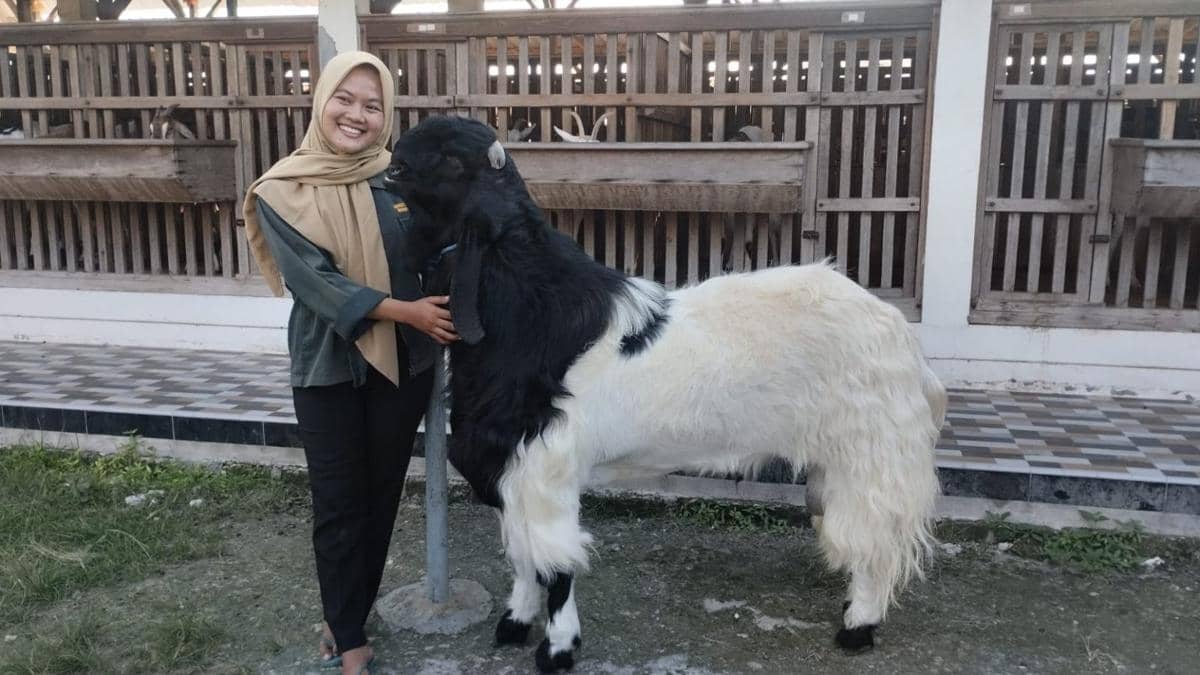 Cerita Perempuan Alumnus Fapet UGM Besarkan Peternakan Beromzet Ratusan Juta