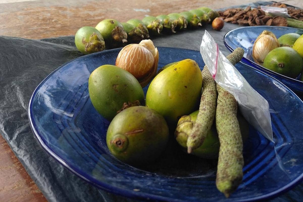 5 Makanan Sehari-hari yang Bisa Tingkatkan Risiko Kanker Mulut