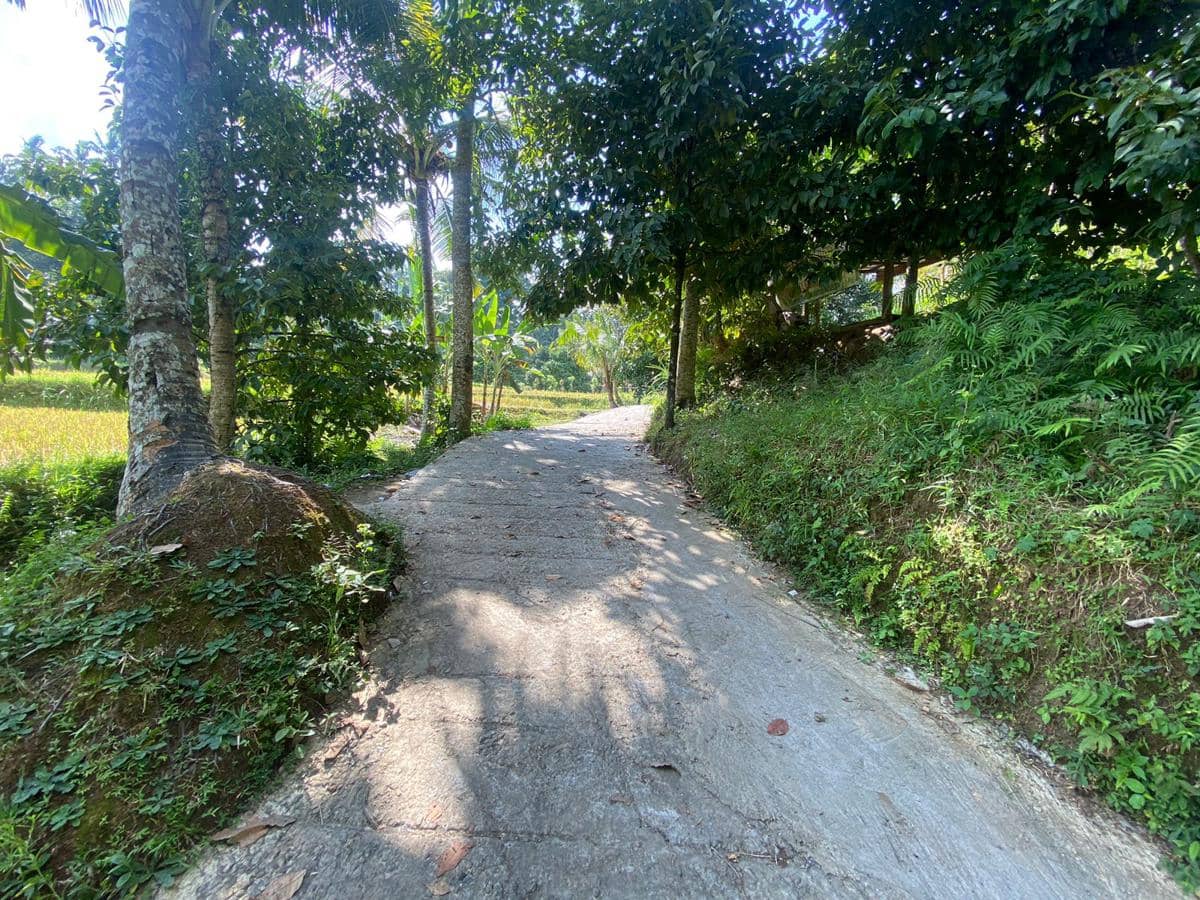 Bantuan pembangunan jalan oleh BRI di Singaraja, Kabupaten Buleleng. (Dok.BRI)
