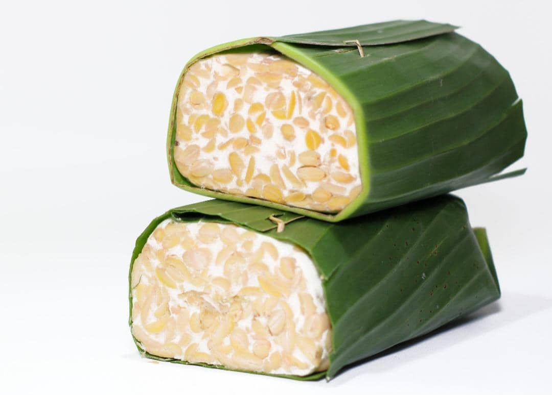 tempe (vecteezy.com/Priyo Sanyoto)