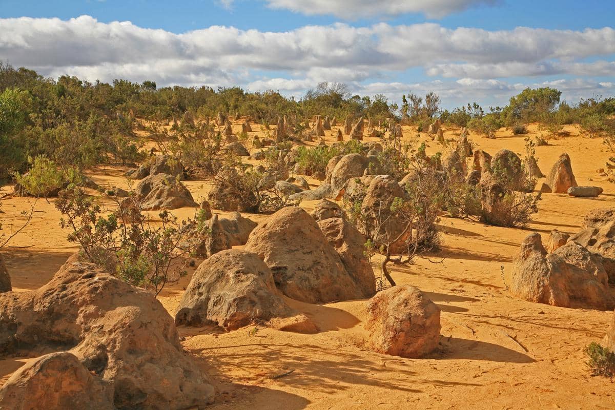Kata "Nambung" berasal dari bahasa Aborigin  yang berarti "berliku" atau "berkelok"