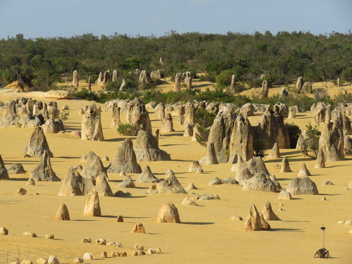 5 Fakta Taman Nasional Nambung, Rumah Ribuan Formasi Batu Kapur Runcing