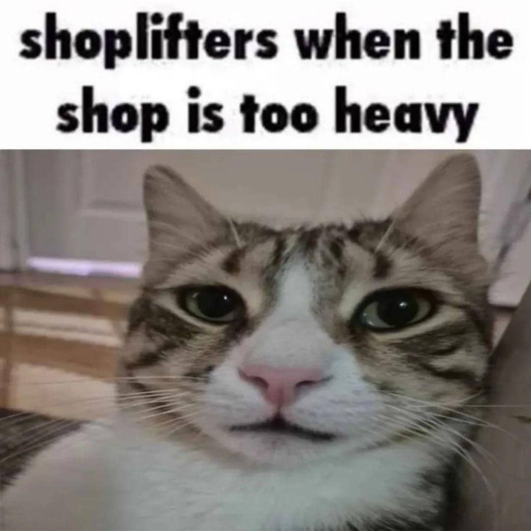 meme kucing tentang toko