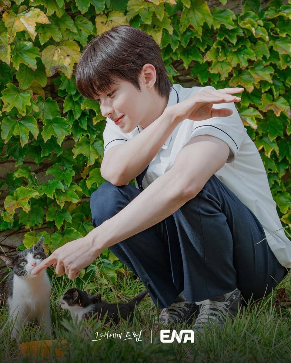 still cuts drama Dream to You