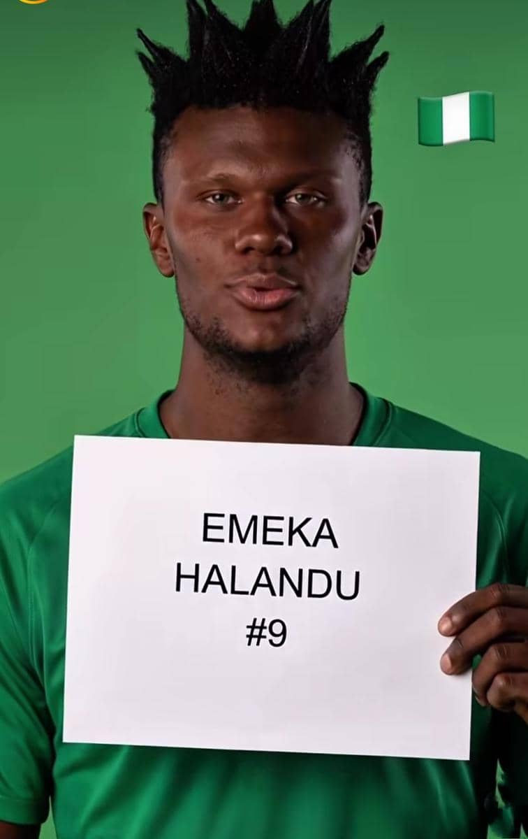 potret Haaland 
