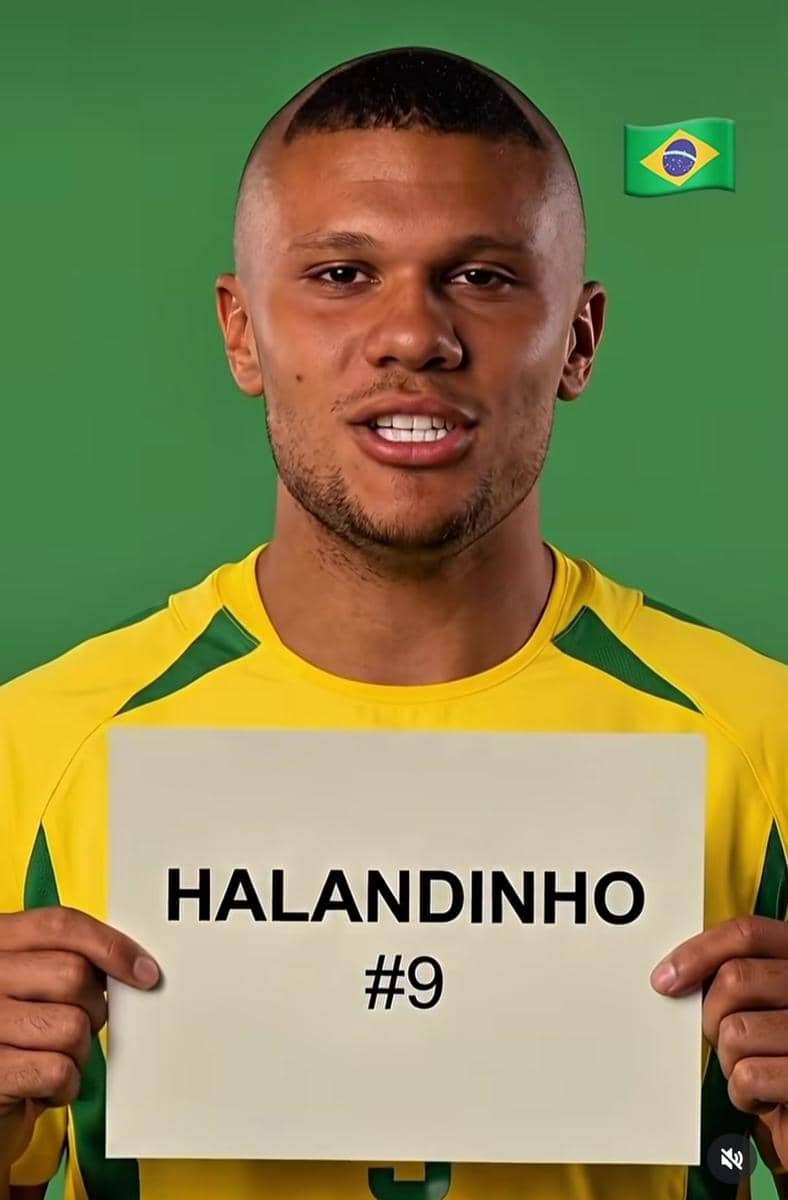 potret Haaland 