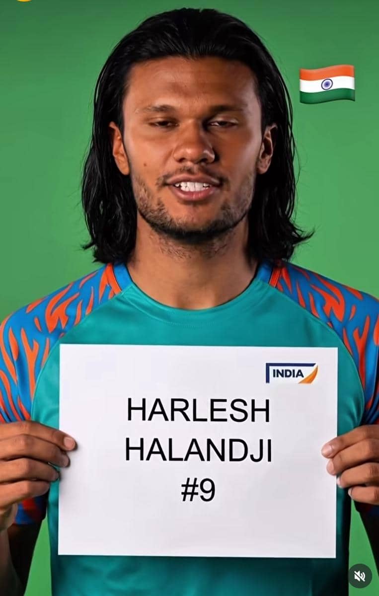 potret Haaland 