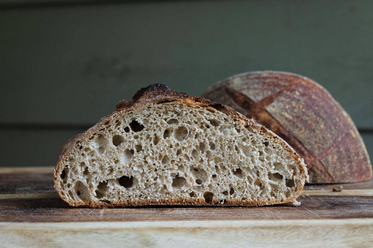 ilustrasi sourdough