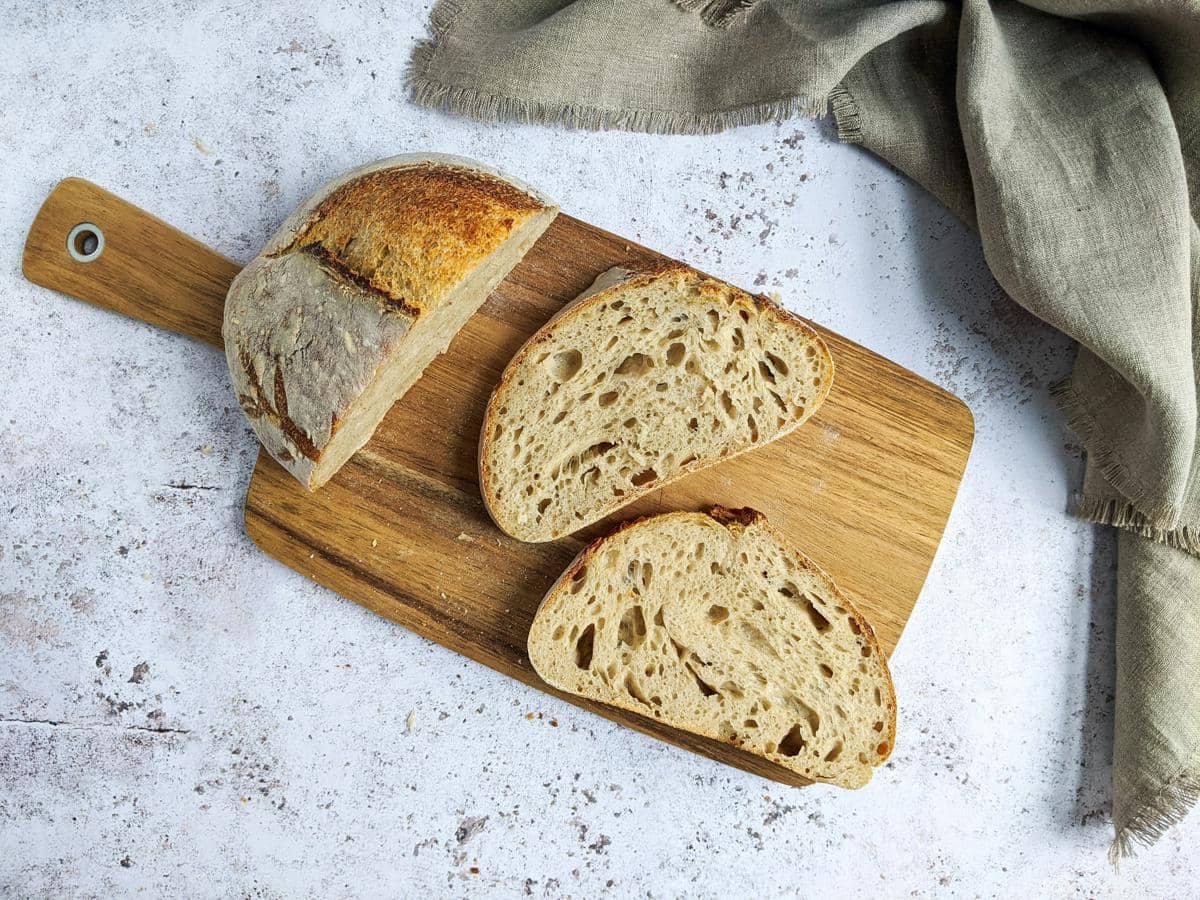 ilustrasi sourdough
