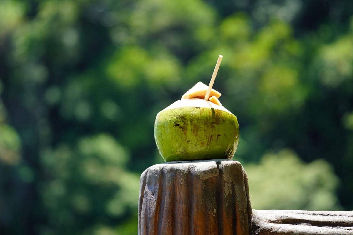 5 Cara Memilih Kelapa Muda Segar, Jangan Salah Beli