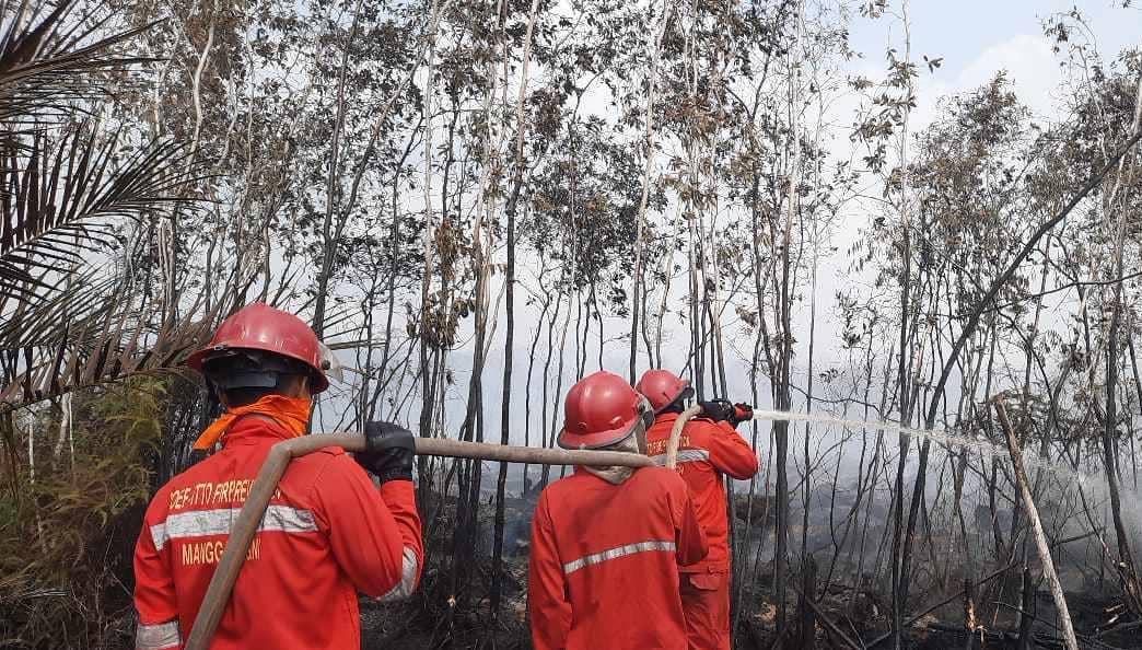 Proses pemadaman kebakaran di lahan gambut di kawasan Pedamaran Timur (Dok: Manggala Agni)