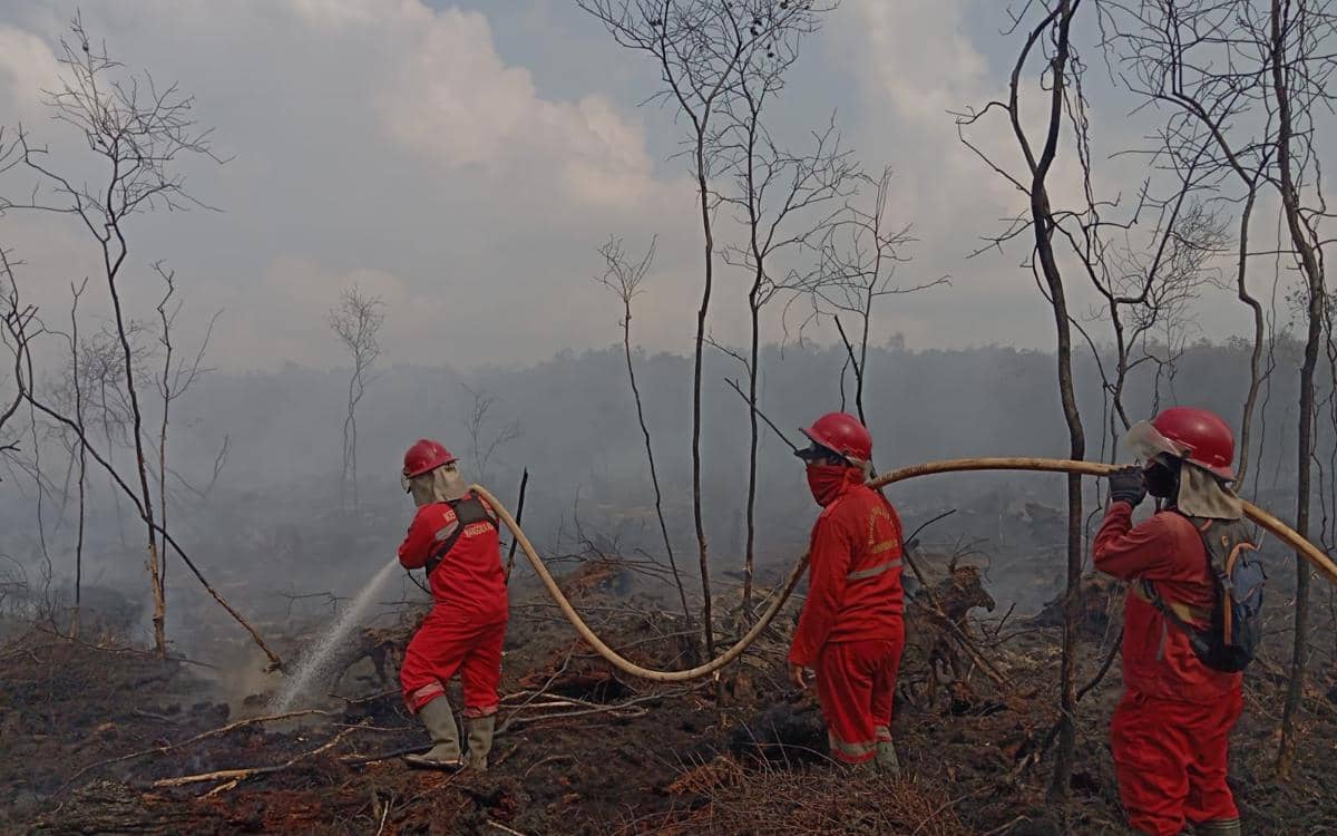 Petugas Manggala Agni mengenakan pakaian pelindung merah memadamkan kebakaran lahan gambut di Pedamaran Timur dengan selang air.