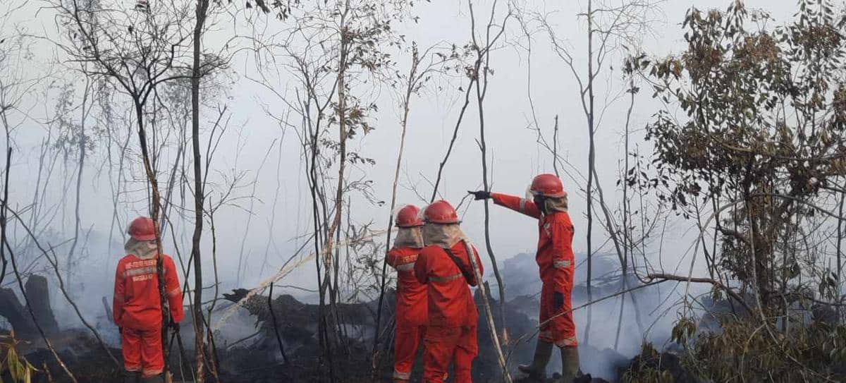 6 Ha Lahan Terbakar di Pedamaran, Manggala Agni Waspadai Api di Gambut