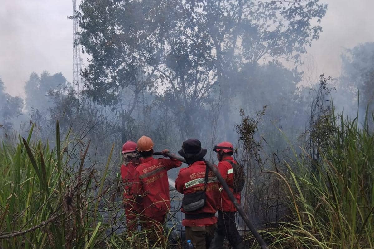 Proses pemadaman kebakaran di lahan gambut di kawasan Pedamaran Timur (Dok: Manggala Agni)