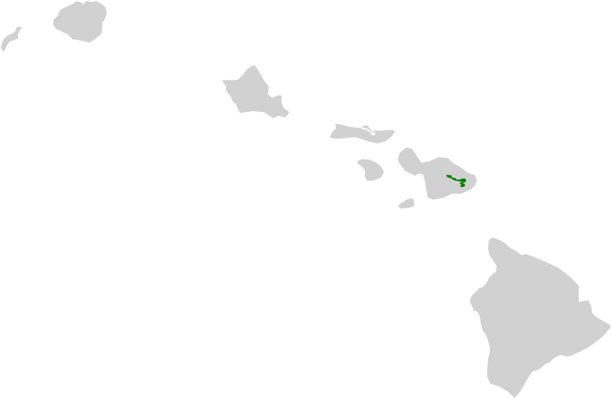 Kiwikiu kini hanya ditemukan di Pulau Maui, Hawaii