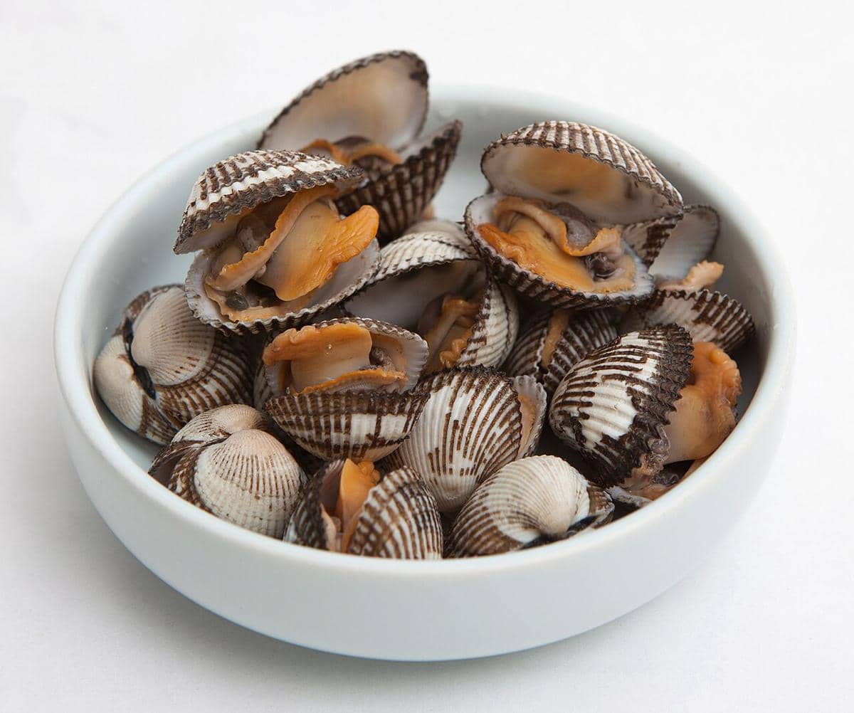 ilustrasi bahan sate kerang