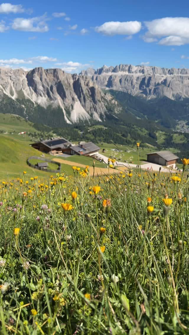 Keluarga Nikita Willy liburan di Pegunungan Dolomites Italia