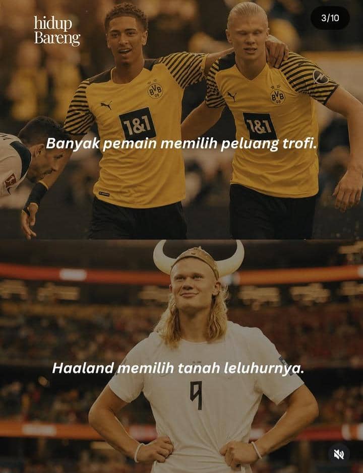 meme Haaland