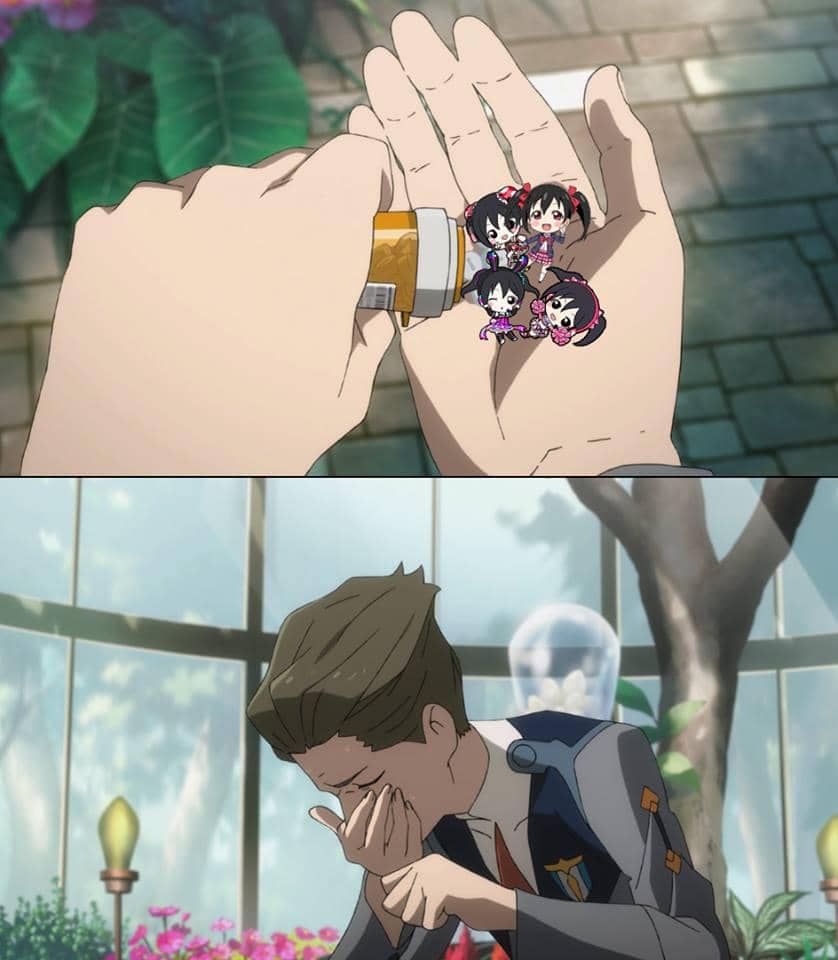 meme anime tentang pasien