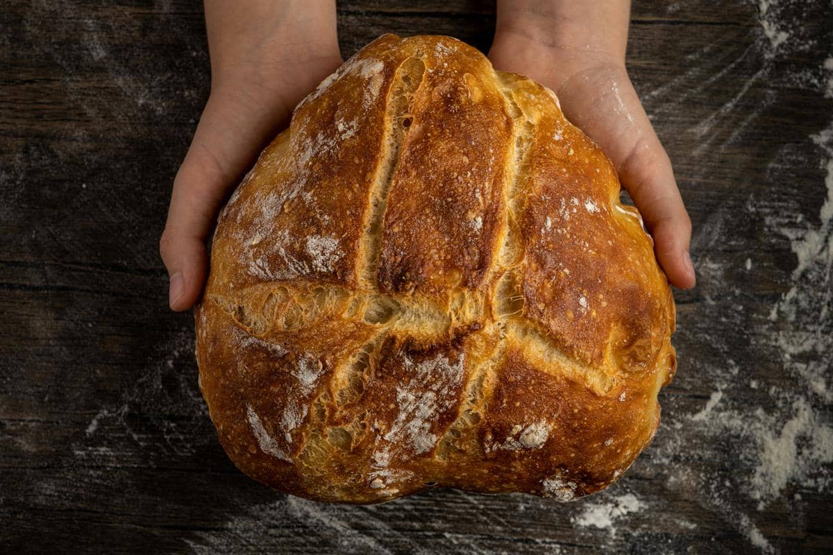 ilustrasi sourdough