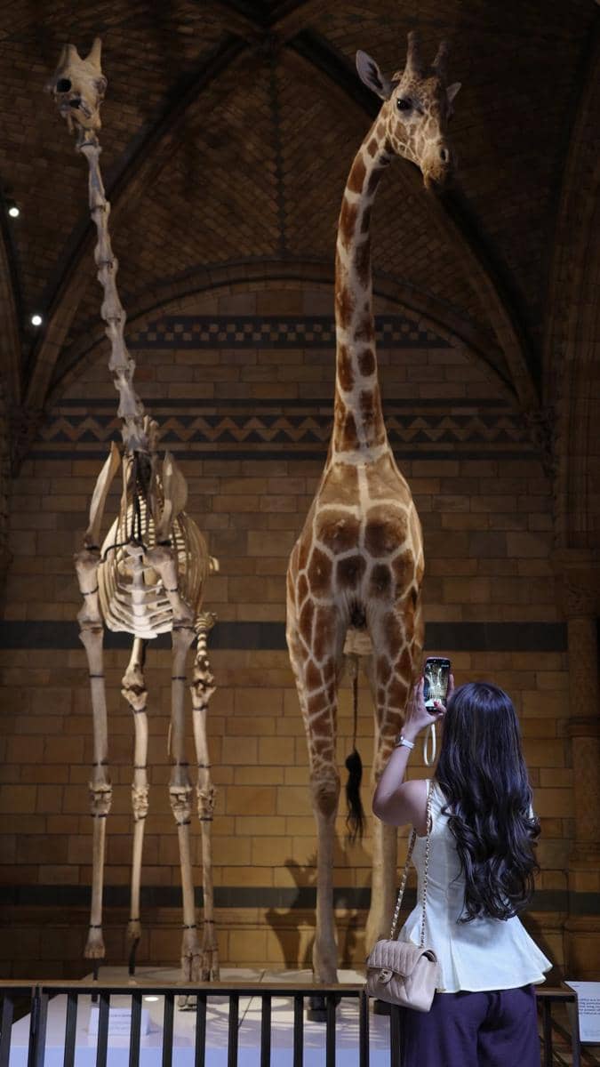 Yunita Siregar mengunjungi Natural History Museum di London